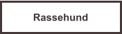 Rassehund